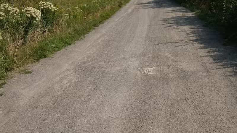 Dog Park - City of Eastport - Eastport,