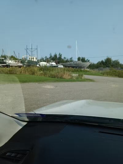 Dog Park - City of Eastport - Eastport,