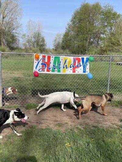 Island City Dog Park - Eaton Rapids, MI