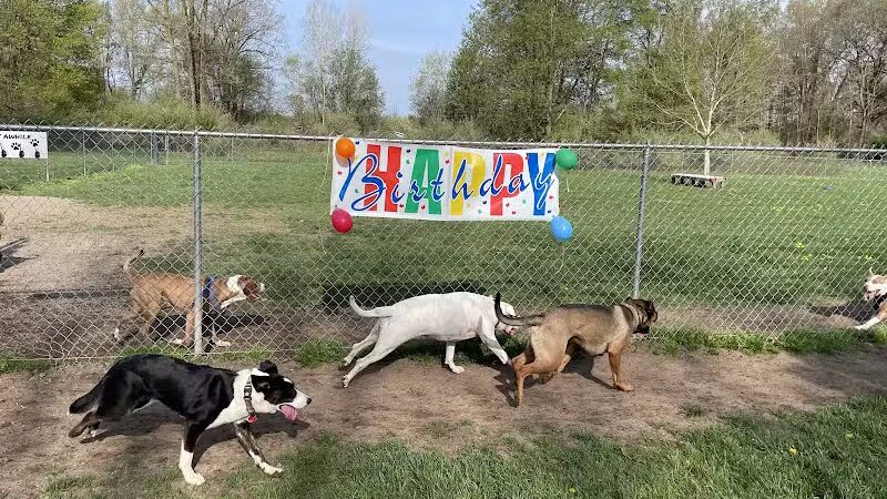 Island City Dog Park - Eaton Rapids, MI