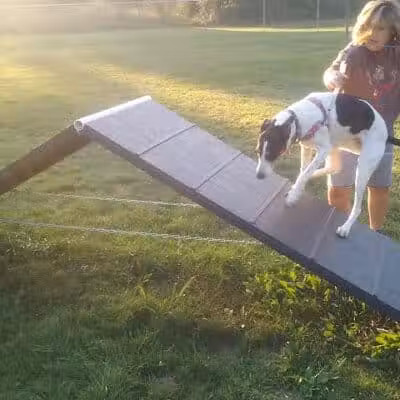 Island City Dog Park - Eaton Rapids, MI
