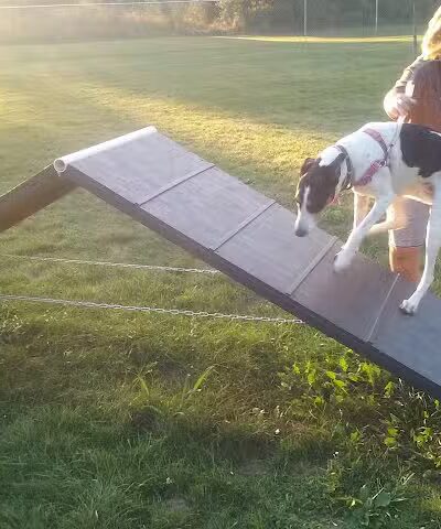 Island City Dog Park - Eaton Rapids, MI