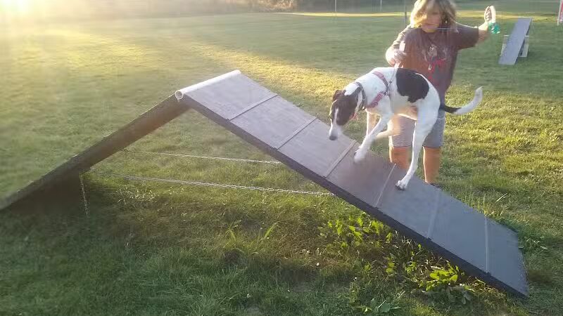 Island City Dog Park - Eaton Rapids, MI