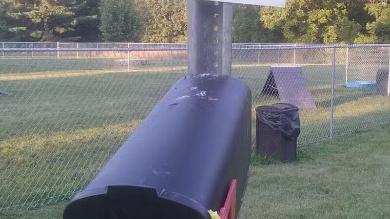 Island City Dog Park - Eaton Rapids, MI