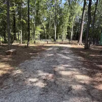 Butterflies & Blooms in the Briar Patch - Eatonton, GA