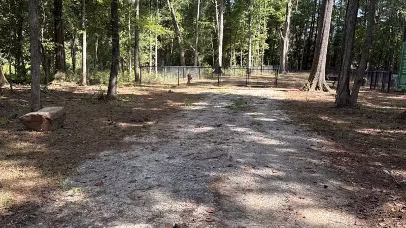 Butterflies & Blooms in the Briar Patch - Eatonton, GA