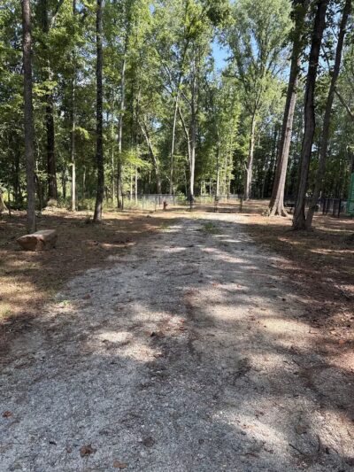 Butterflies & Blooms in the Briar Patch - Eatonton, GA