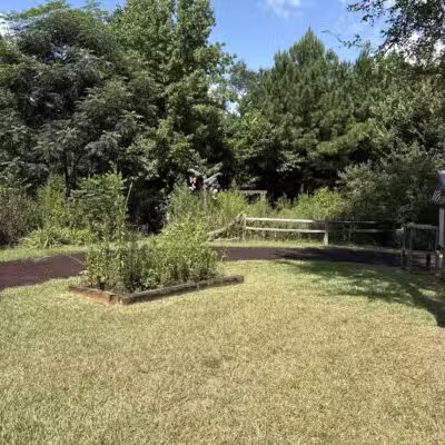 Butterflies & Blooms in the Briar Patch - Eatonton, GA