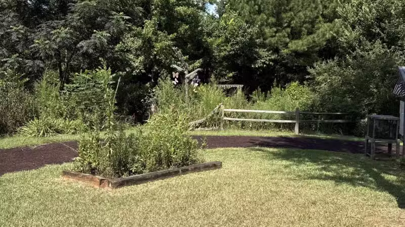 Butterflies & Blooms in the Briar Patch - Eatonton, GA