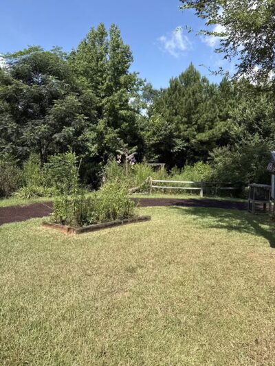 Butterflies & Blooms in the Briar Patch - Eatonton, GA