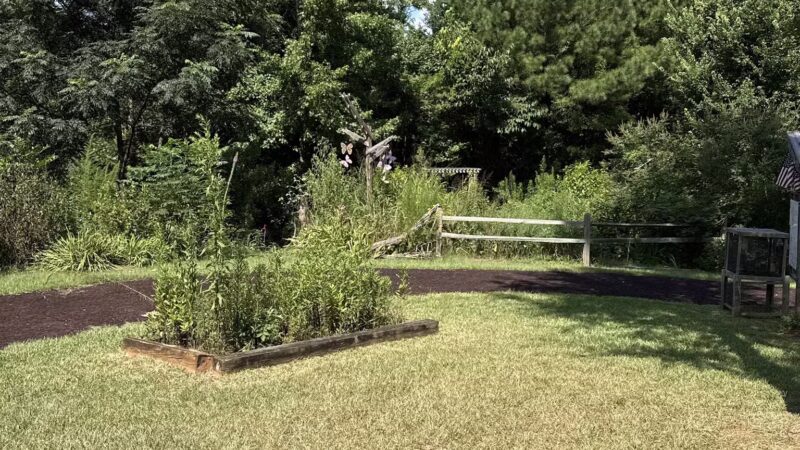 Butterflies & Blooms in the Briar Patch - Eatonton, GA