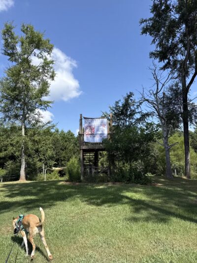 Butterflies & Blooms in the Briar Patch - Eatonton, GA