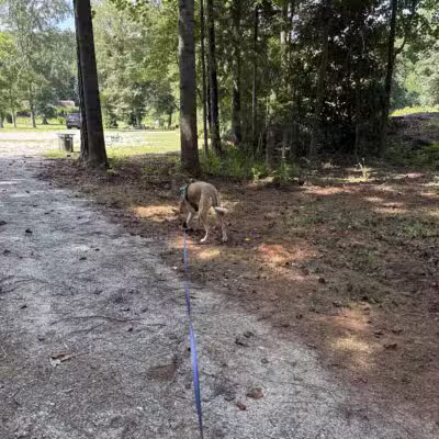 Butterflies & Blooms in the Briar Patch - Eatonton, GA