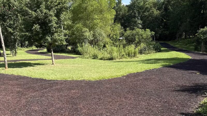 Butterflies & Blooms in the Briar Patch - Eatonton, GA