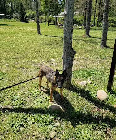 Briarpatch trail park - Eatonton, GA
