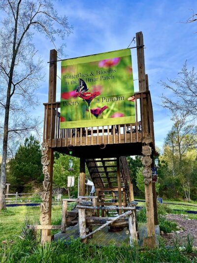 Butterflies & Blooms in the Briar Patch - Eatonton, GA