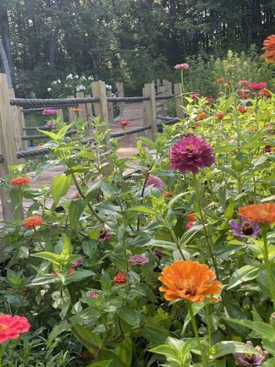 Butterflies & Blooms in the Briar Patch - Eatonton, GA
