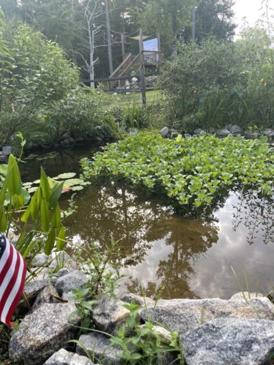 Butterflies & Blooms in the Briar Patch - Eatonton, GA