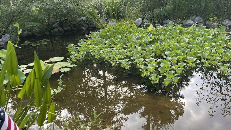 Butterflies & Blooms in the Briar Patch - Eatonton, GA