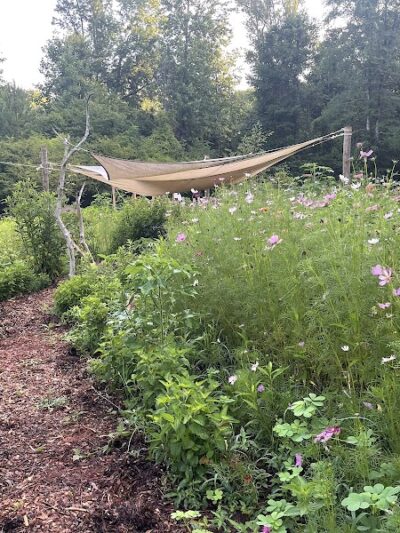 Butterflies & Blooms in the Briar Patch - Eatonton, GA