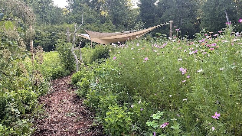 Butterflies & Blooms in the Briar Patch - Eatonton, GA