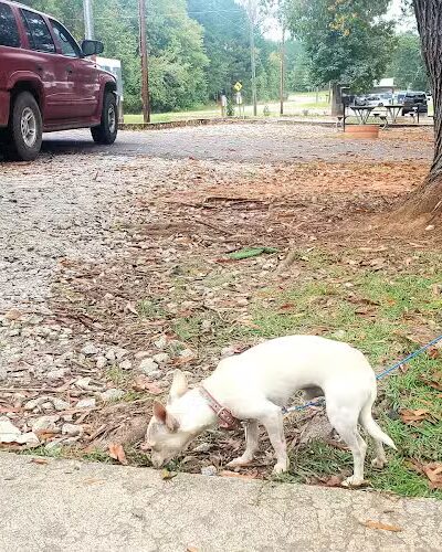 Oconee Springs Park - Eatonton, GA