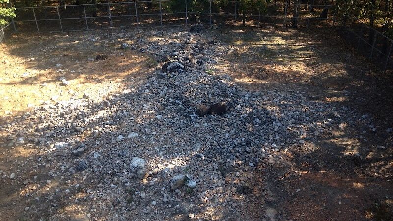 Rock Hawk - Eatonton, GA