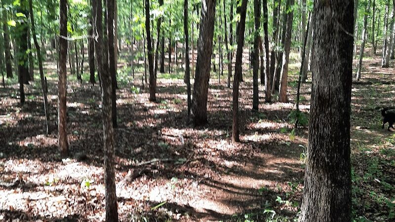 Rock Hawk - Eatonton, GA