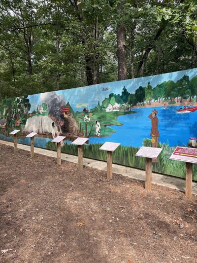 Rock Hawk - Eatonton, GA