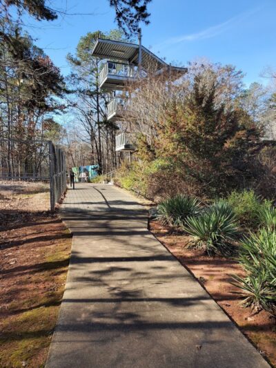 Rock Hawk - Eatonton, GA