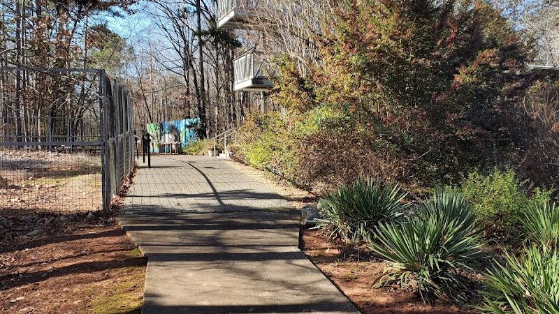 Rock Hawk - Eatonton, GA