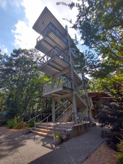 Rock Hawk - Eatonton, GA