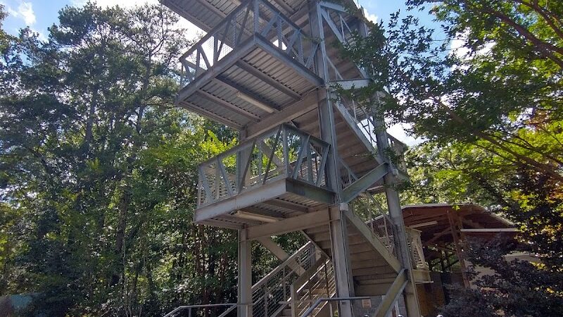 Rock Hawk - Eatonton, GA