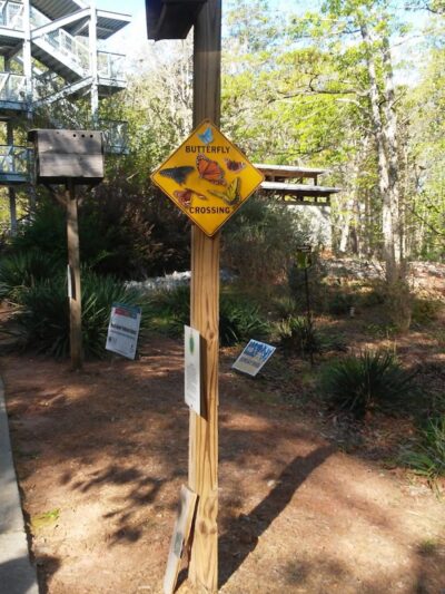 Rock Hawk - Eatonton, GA