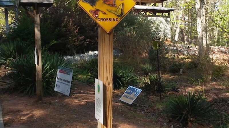 Rock Hawk - Eatonton, GA