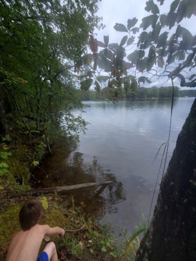 Rock Hawk - Eatonton, GA