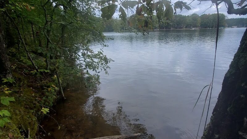 Rock Hawk - Eatonton, GA