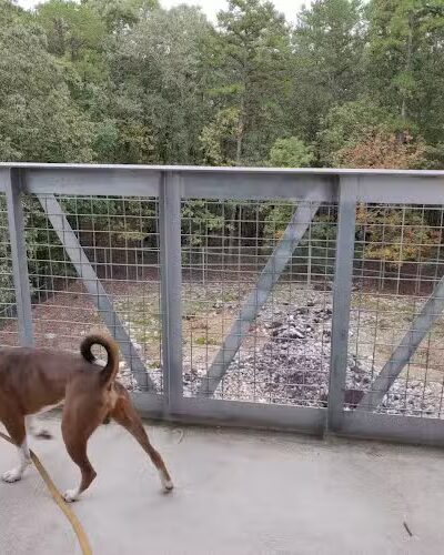 Rock Hawk - Eatonton, GA