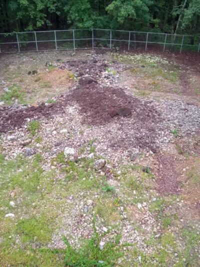 Rock Hawk - Eatonton, GA