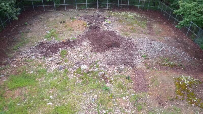 Rock Hawk - Eatonton, GA