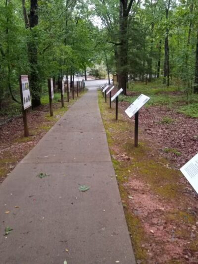 Rock Hawk - Eatonton, GA