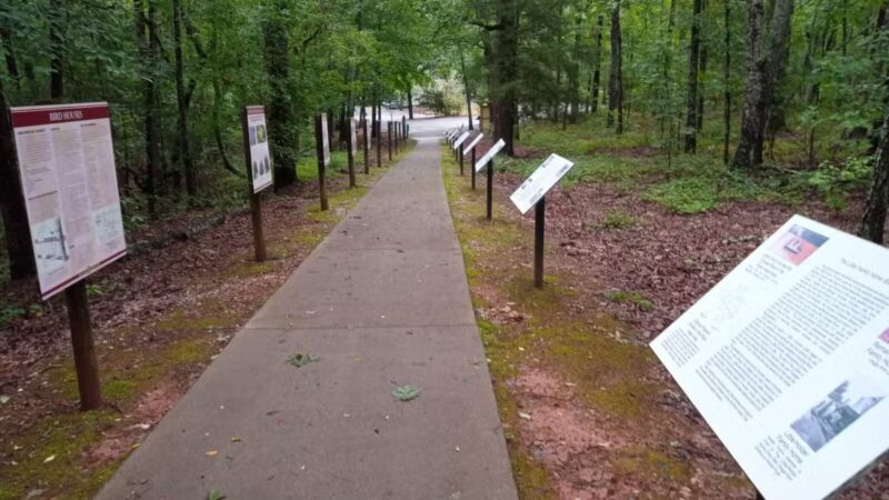 Rock Hawk - Eatonton, GA