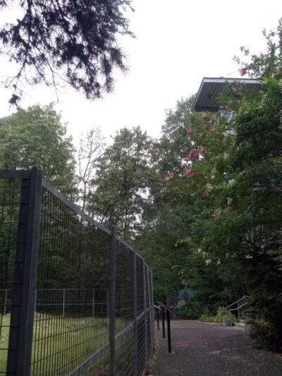 Rock Hawk - Eatonton, GA