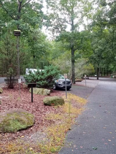 Rock Hawk - Eatonton, GA