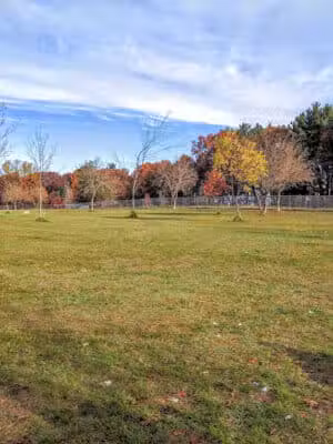 Otter Creek Off-Leash Dog Park - Eau Claire,