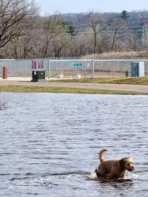 Southwest Dog Park - Eau Claire,