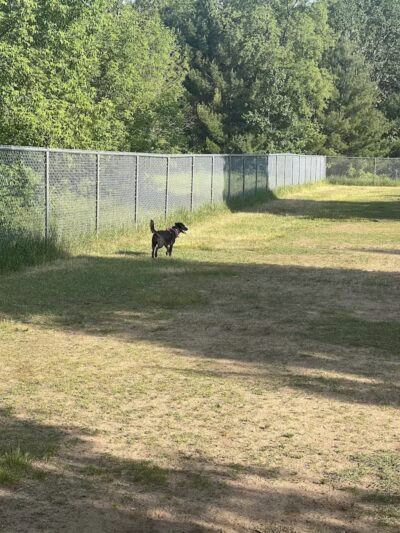 Otter Creek Off-Leash Dog Park - Eau Claire,