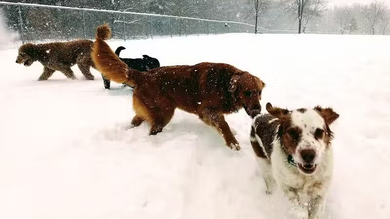 Otter Creek Off-Leash Dog Park - Eau Claire,