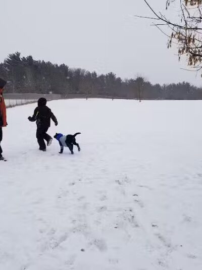 Otter Creek Off-Leash Dog Park - Eau Claire,