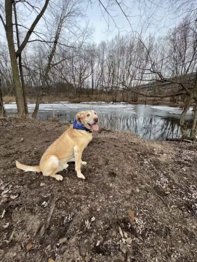 Southwest Dog Park - Eau Claire,